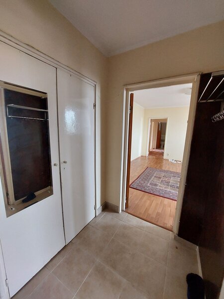 Teiul Doamnei x Colentina aproape de sectia 7 politie